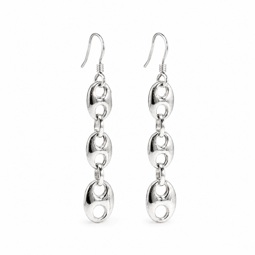 Graduated Link Earrings