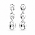 Graduated Link Earrings